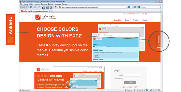 Web survey widget