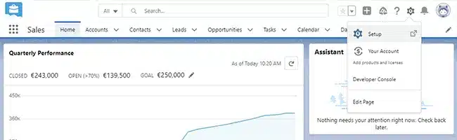 Salesforce setup