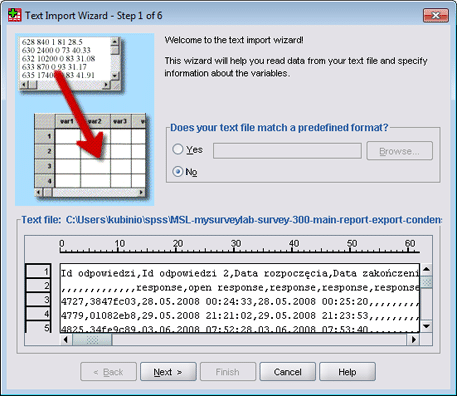 SPSS - CSV import tutorial (step 3)